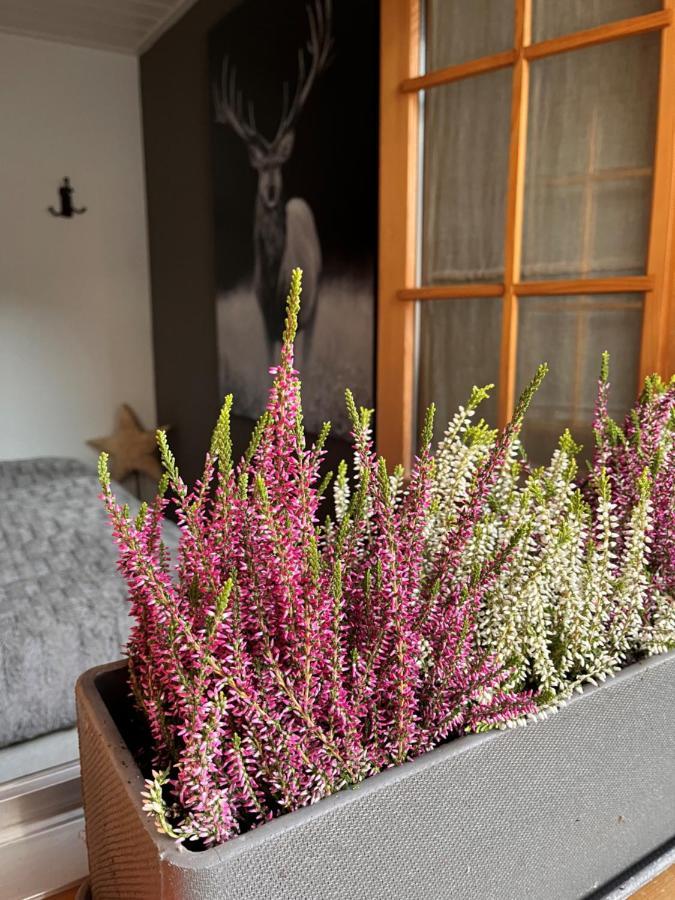 Chalet Apartment Serenity Lodge Charmey Luaran gambar